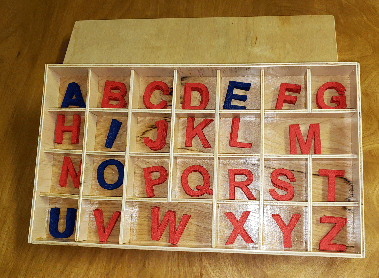 Montessori Movable Alphabet - Lowercase Uppercase Letters - Houston TX